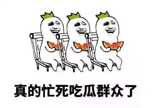海外综艺换人